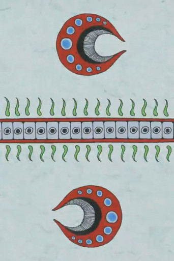 CHAOTIC ORDER poster