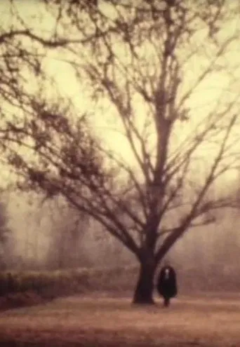 D. Jaime or the Portuguese Night poster