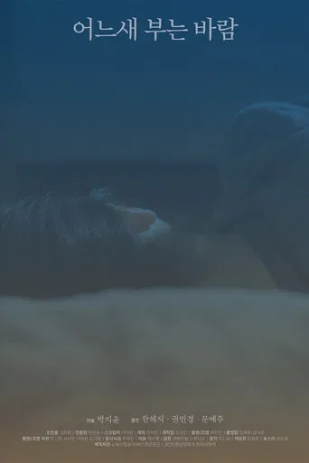 The Consolation of the Wind poster