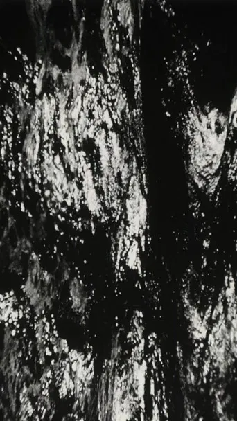 Bitemporal Vision: The Sea poster