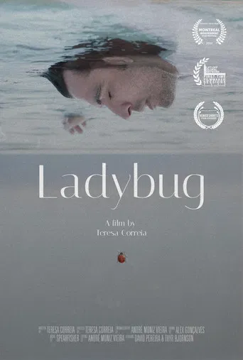 Ladybug poster
