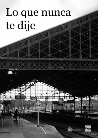 Lo que nunca te dije poster