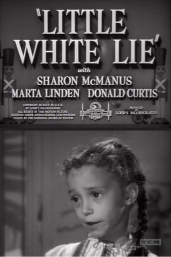 Little White Lie poster