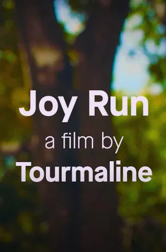 Joy Run poster