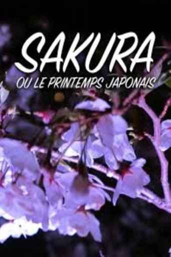 Sakura ou le printemps japonais poster