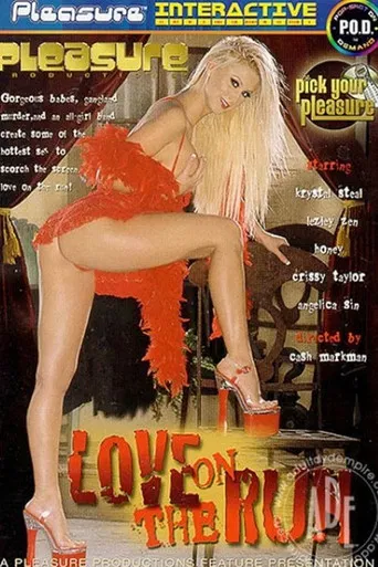 Love on the Run poster