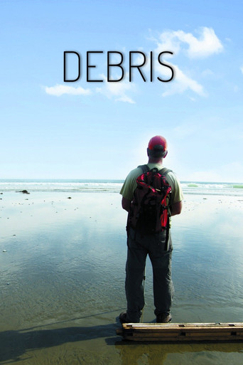Debris poster