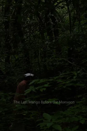 The Last Mango Before the Monsoon poster