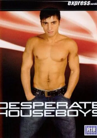 Desperate Houseboys poster