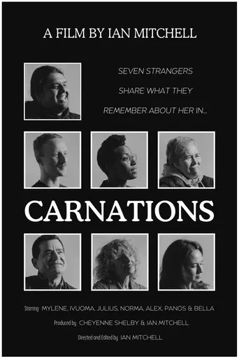 Carnations poster