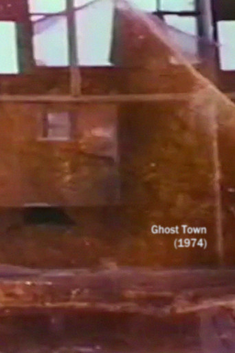 Ghost Town poster