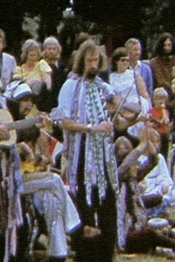 Barsham Faire poster