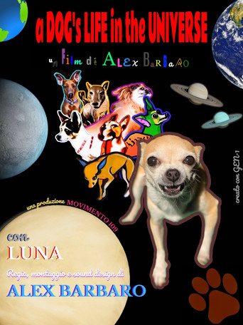 a DOG's LIFE in the UNIVERSE poster