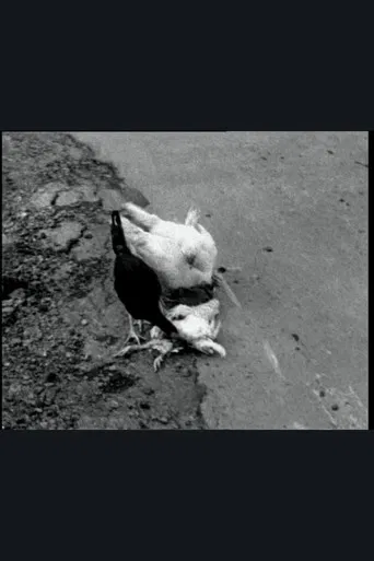 The Delmarva Chicken of Tomorrow poster