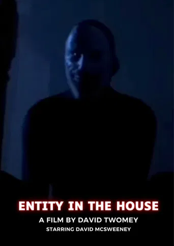 ENTITY IN THE HOUSE poster