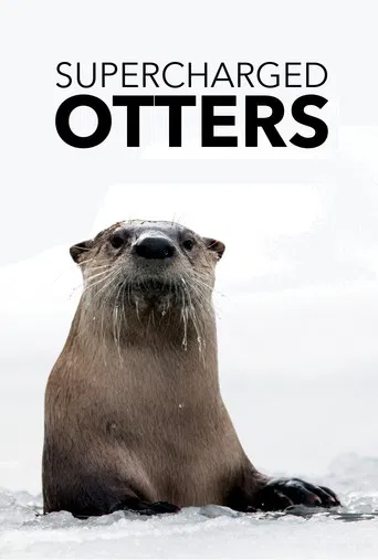 Supercharged Otters poster