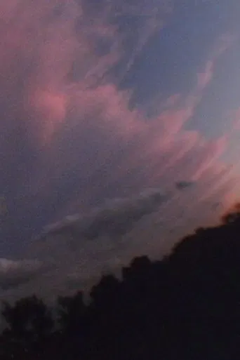 Brilliant Garden poster