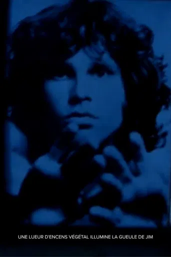 une lueur d'encens végétal illumine la gueule de jim poster