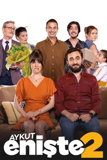 Brother in Love 2 poster