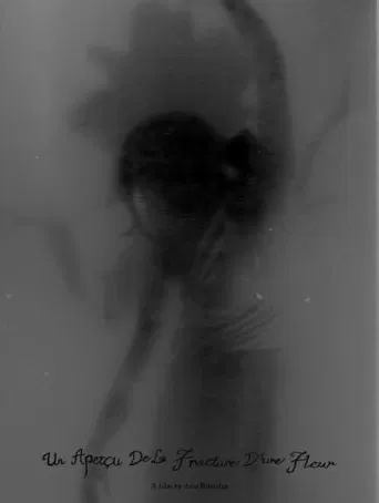 Un Aperçu De La Fracture D’une Fleur poster
