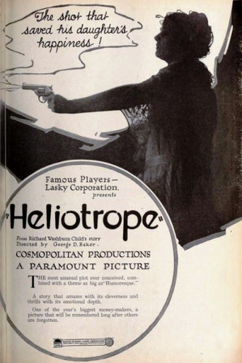 Heliotrope poster