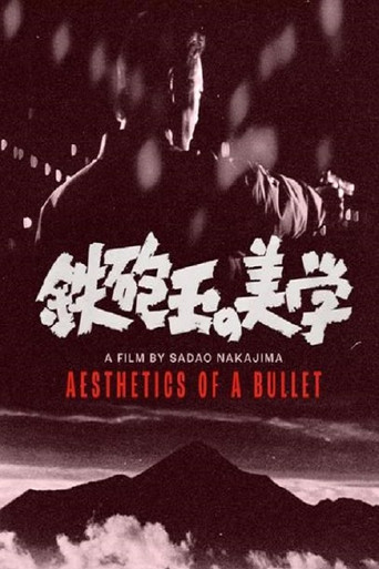 Aesthetics of a Bullet poster