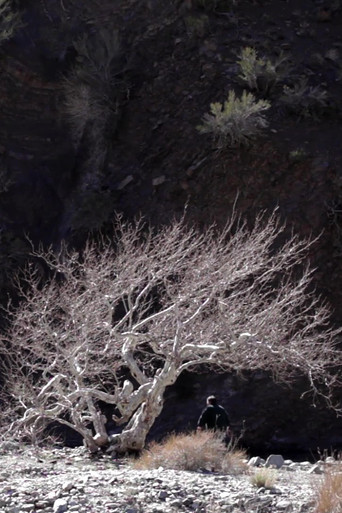 Paradise Springs poster