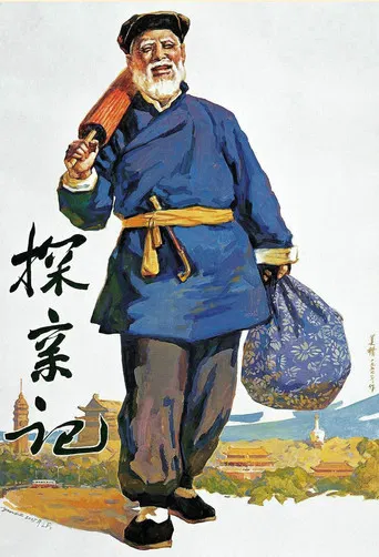 探亲记 poster