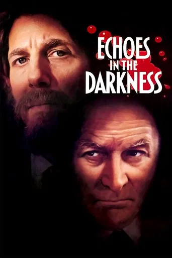 Echoes in the Darkness poster
