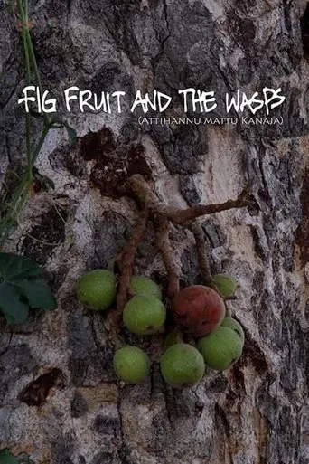 Fig Fruit and The Wasps poster