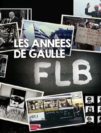 FLB, Les années De Gaulle - Les années Giscard poster