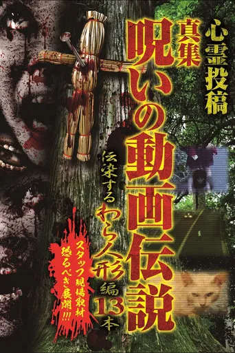 Shinshu, A Curse Video Legend: 13 Infectious Straw Dolls poster