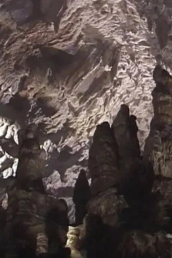 Nine Guided Tours poster