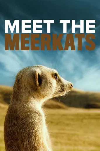 Meet the Meerkats poster