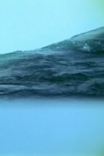 Translucent Appearances poster