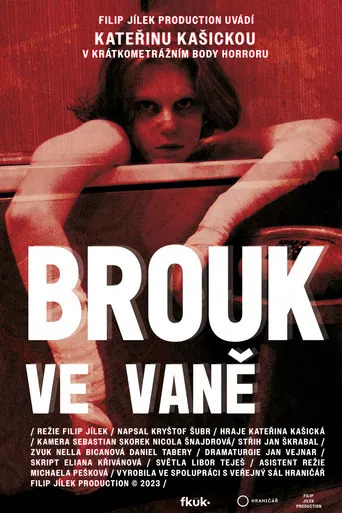 Bug in the Bathtub poster