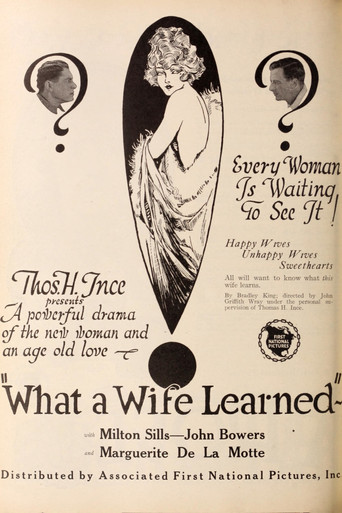 What a Wife Learned poster