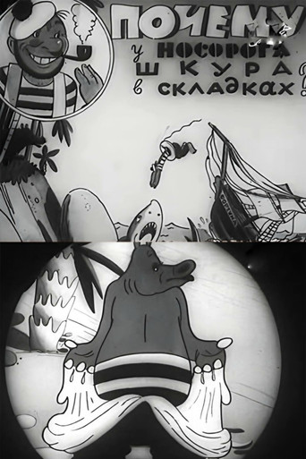 Why Does a Rhino Have Skin Folds? poster