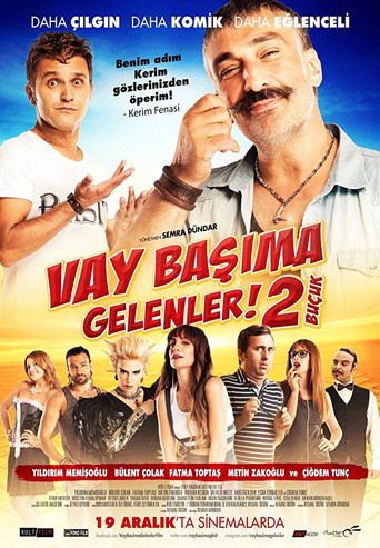 Vay Başıma Gelenler! 2 Buçuk poster