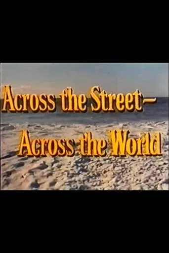 Across the Street—Across the World poster
