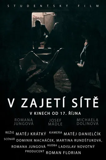 V zajetí sítě poster