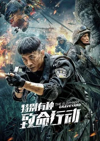 The Elephant: Graveyard poster