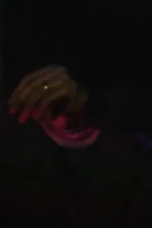 Self-portrait 2000 poster