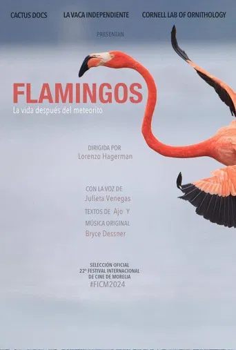 Flamingos poster