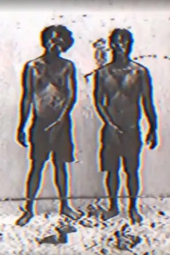 Fook Fook Boys poster