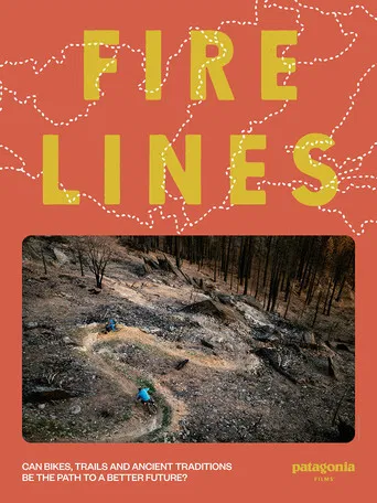 Fire Lines poster