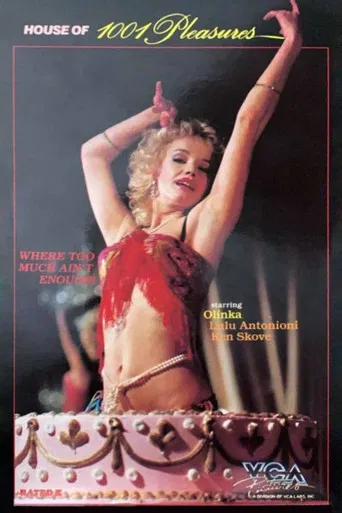 House of 1001 Pleasures poster