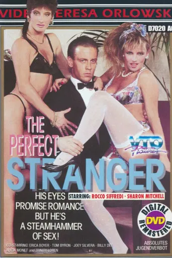 The Perfect Stranger poster