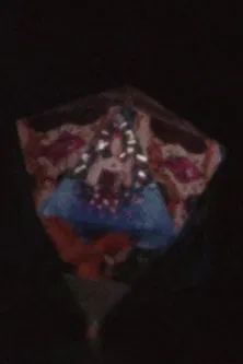 Regular Polyhedra poster