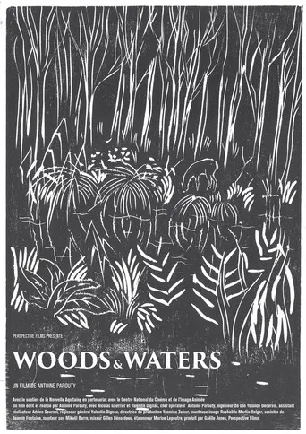 Woods and Waters poster